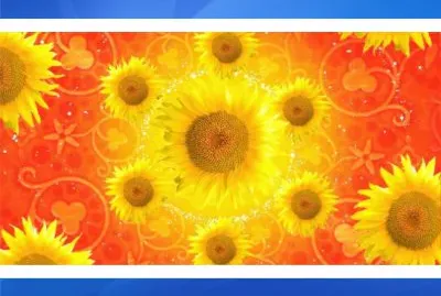 å½©è‰²ç¾Žåœ–