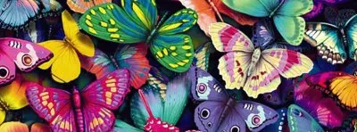 Borboletas