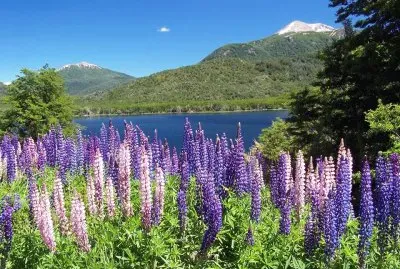 paisaje