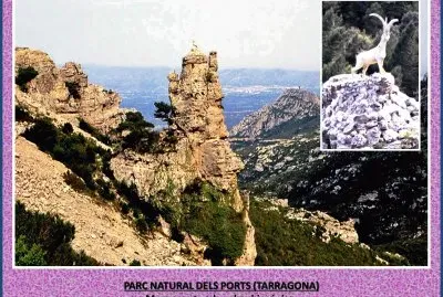 PARC NATURAL DELS PORTS (TARRAGONA)