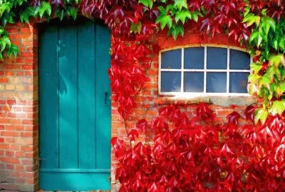 Porte et fenÃªtre jigsaw puzzle