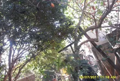 פאזל של Gosto de fotos de natureza, refresca minha alma, o mar, cÃ³rregos, Ã¡rvores,flores, frutos animais, serras, cÃ©u, estrelas...