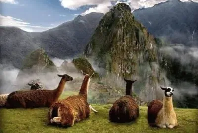 LLAMAS