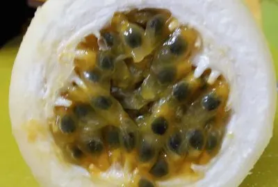 Maracuya jigsaw puzzle