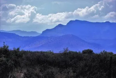 CampiÃ±a chihuahuense.