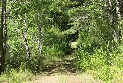 Biking through the woods on a beautiful day jigsaw puzzle