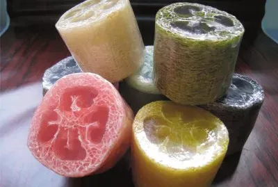 çµ²ç“œçµ¡æ‰‹å·¥çš‚