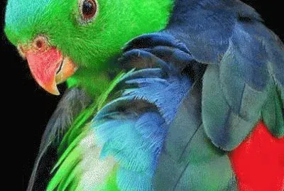 Singapore jigsaw puzzle