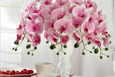 flores