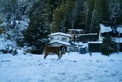 Bariloche San Bernardo