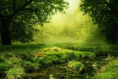 Nature
