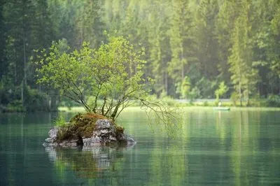 Nature