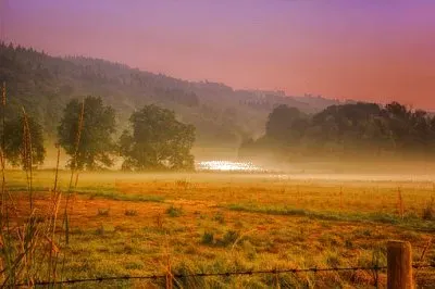 Nature