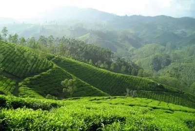 Nature