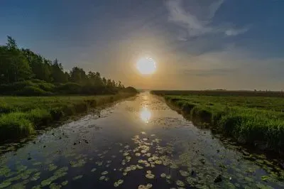 Nature