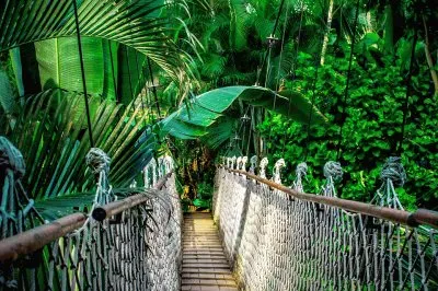 Nature