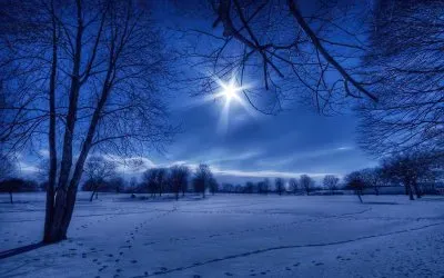 NOTURNO 11 jigsaw puzzle