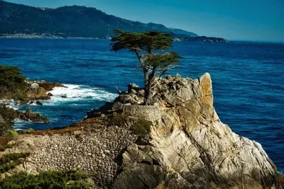 Nature jigsaw puzzle