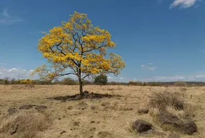 un cambio de aires