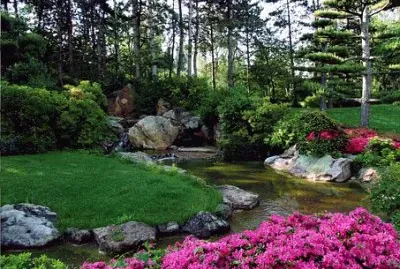 Nature