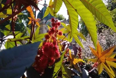 couleurs de l 'Ã©tÃ©