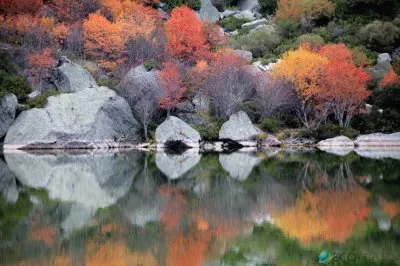 פאזל של paisaje