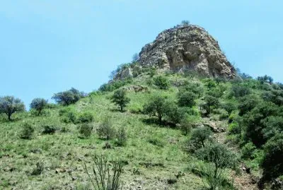 CampiÃ±a norteÃ±a, MÃ©xico.
