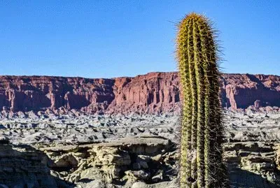 Ischigualasto
