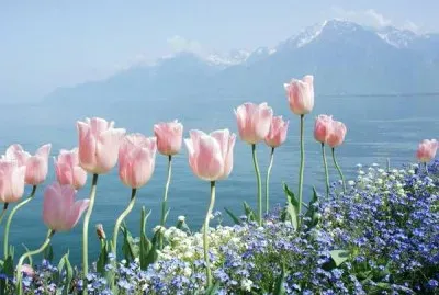 NATUREZA