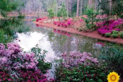 Paisaje de primavera