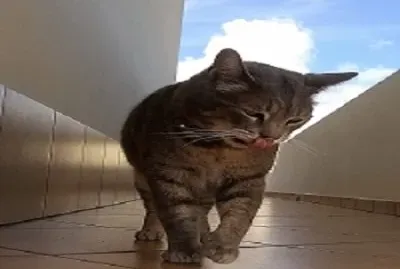 Passeggiatina :) jigsaw puzzle