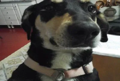 Selfie :D jigsaw puzzle