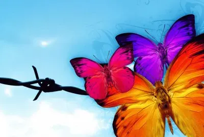 פאזל של colori, couleurs