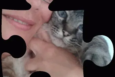 Animais jigsaw puzzle