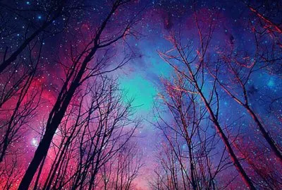 pintura hermosa jigsaw puzzle