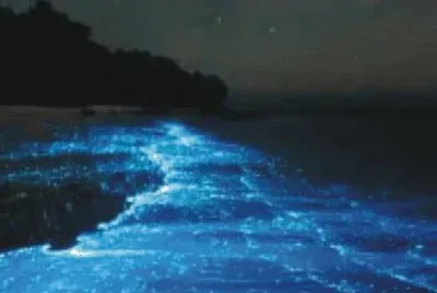 natural phenomenon