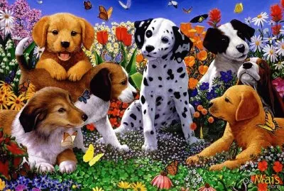 vbezerra jigsaw puzzle