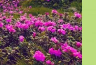 åˆ‡å‰²åœ–ç‰‡