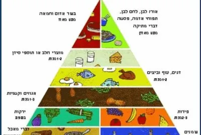 ×•×¢×“×ª ×‘×¨×™××•×ª