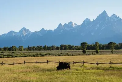 Rockies