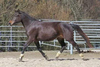 Freiberg jigsaw puzzle