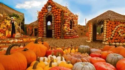 Bones Pumpkin Patch-Culver City, CA