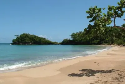 vzla
