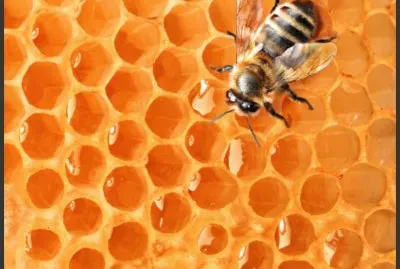 פאזל של ABEJA