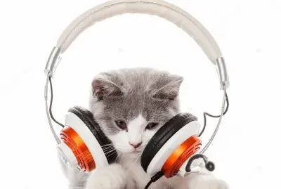 Tod@s podemos escuchar MÃšSICA