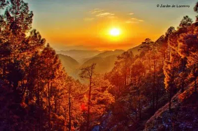 imagem jigsaw puzzle