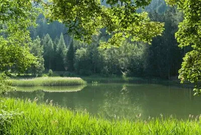 פאזל של Nature