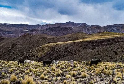 Catamarca