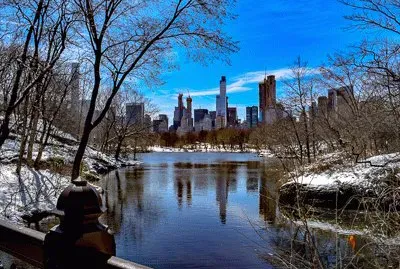 Central Park