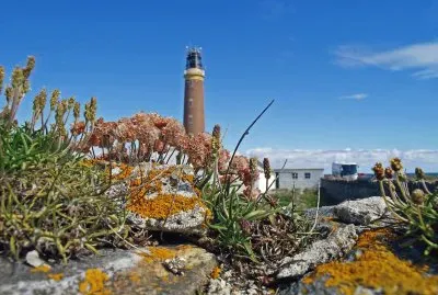 lighthouse schottland